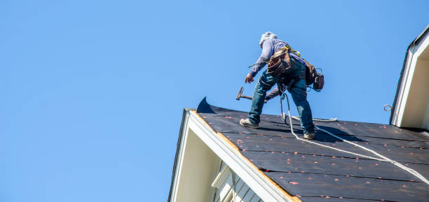 Best Roof Gutter Cleaning  in Lake Telemark, NJ