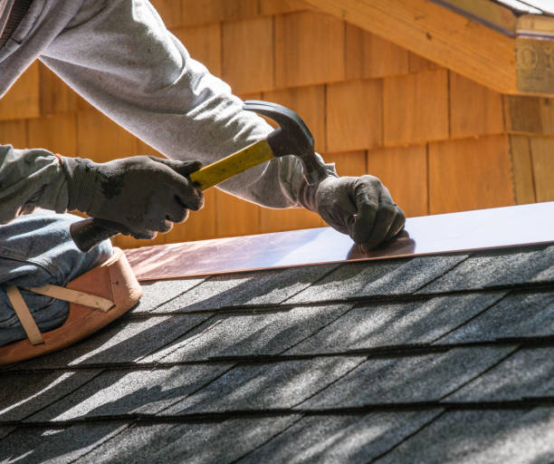 Best Roof Gutter Cleaning  in Lake Telemark, NJ